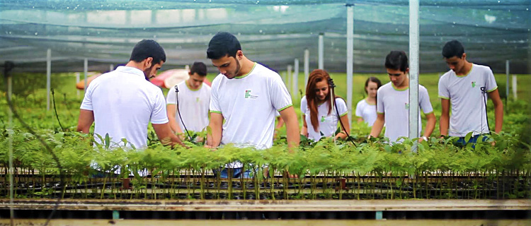 IFTM  Curso gratuito Técnico em Agropecuária no Campus Patrocínio